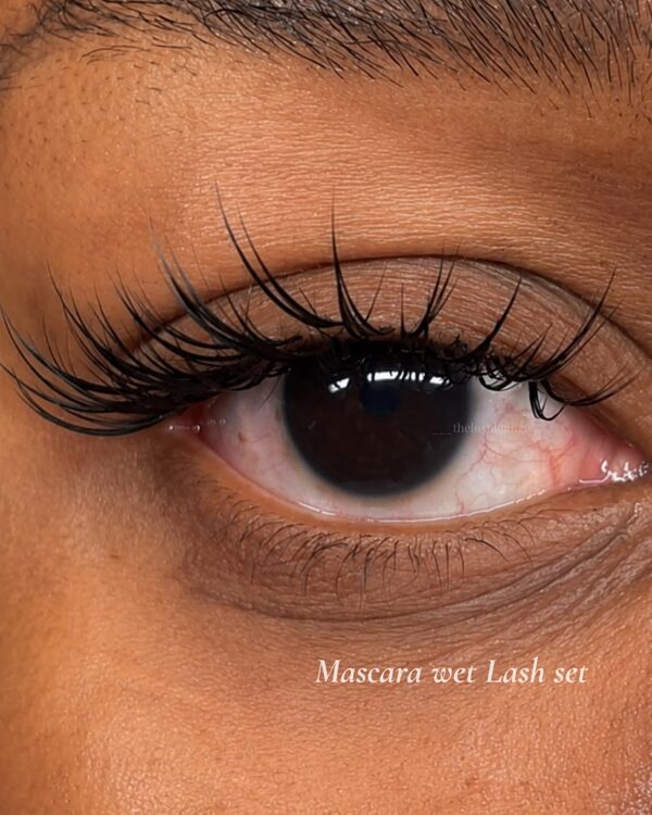 Mascara Wet Lash Set